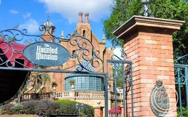 A Complete Guide to the Magic Kingdom Rides