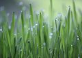 Unlocking Vitality: 10 Essential Health Tips for Life
