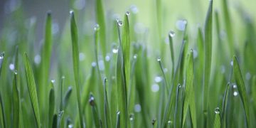 Unlocking Vitality: 10 Essential Health Tips for Life