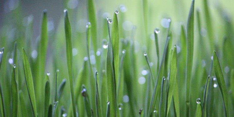 Unlocking Vitality: 10 Essential Health Tips for Life