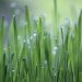 Unlocking Vitality: 10 Essential Health Tips for Life