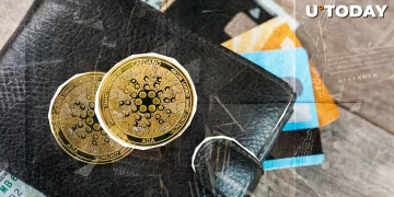 Cardano Quietly Rallies 32% With 14,783 New ADA Wallets Joining Network