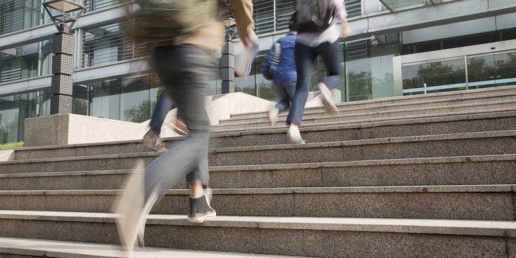 UNSW faces a 95 percent cut to its M365 storage by October