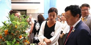 FAO opens first Global Conference on Smart Farming to accelerate innovation for farmers
